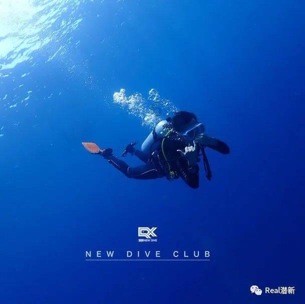 陷阱韩剧剧情